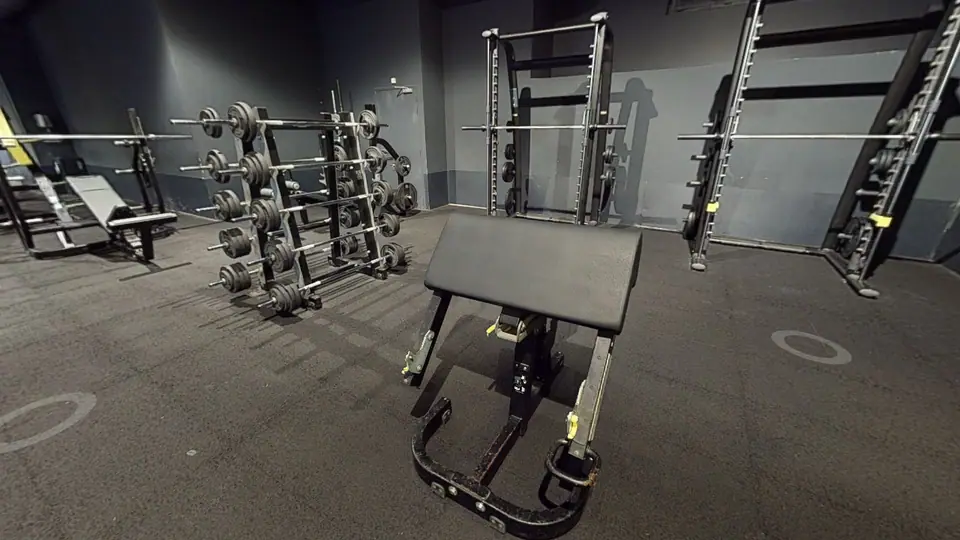 Biceps Curl - Fitness Park Montpellier Odysseum